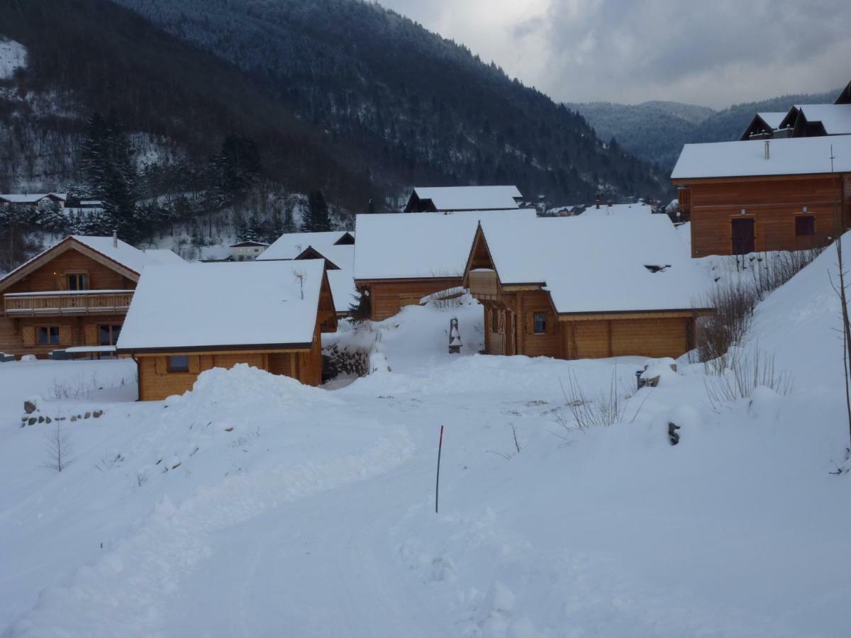 Le Planot Villa La Bresse Eksteriør billede